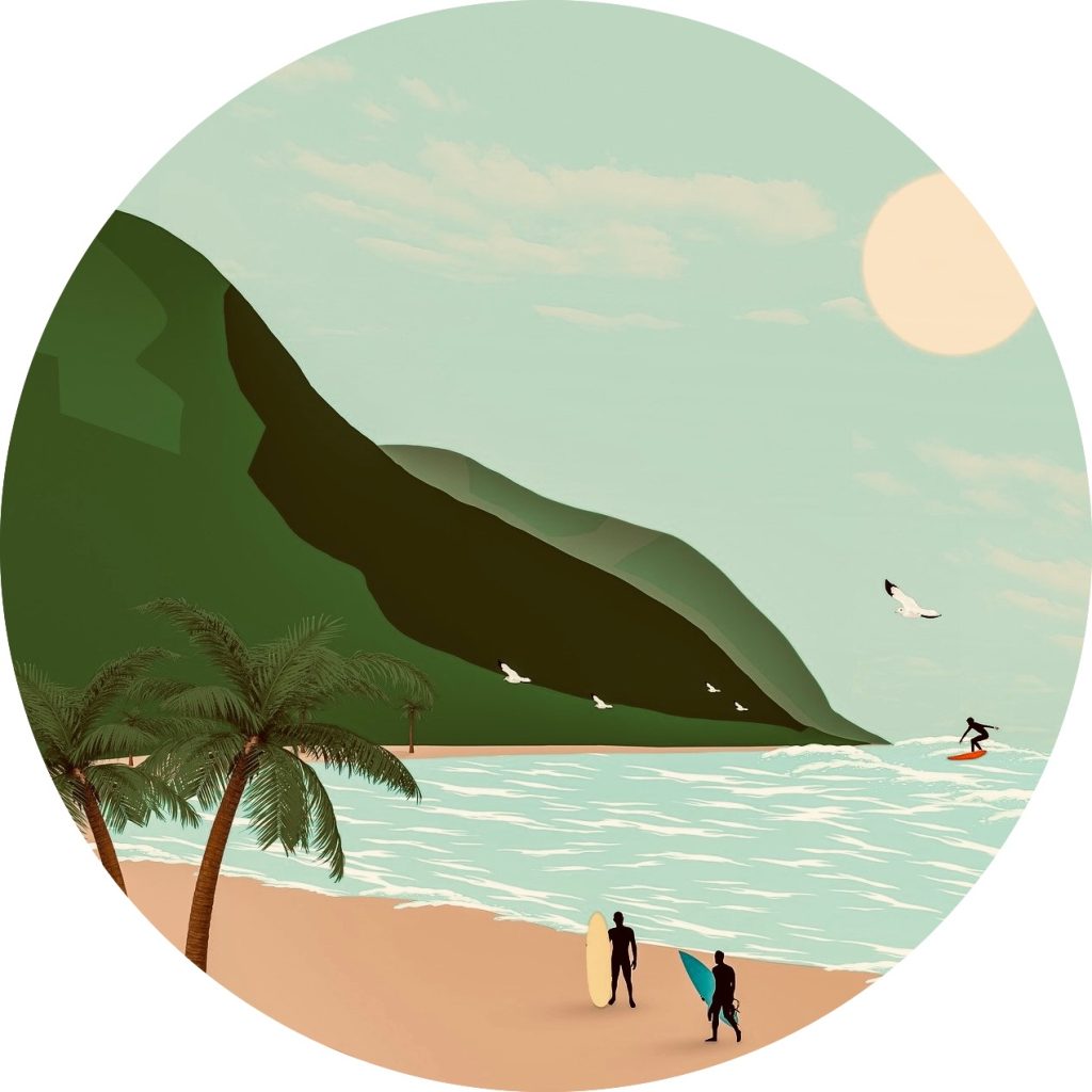 The Intermediate Surfer